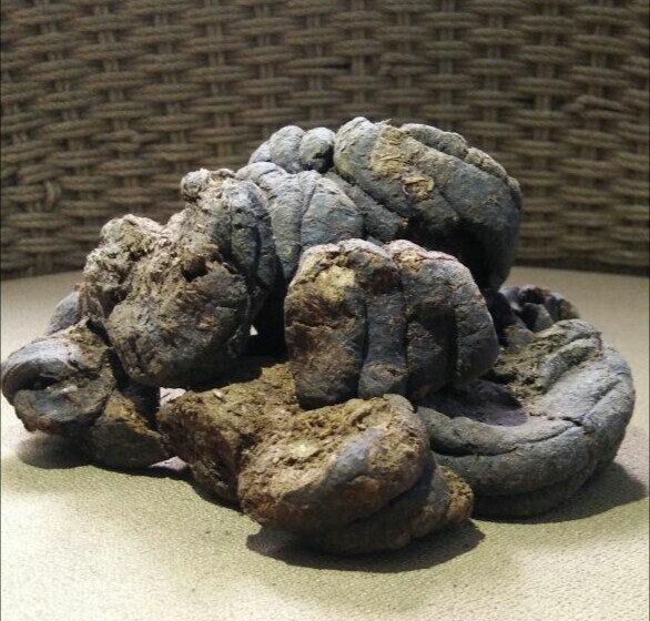 Natural Cow Dung Cakes
