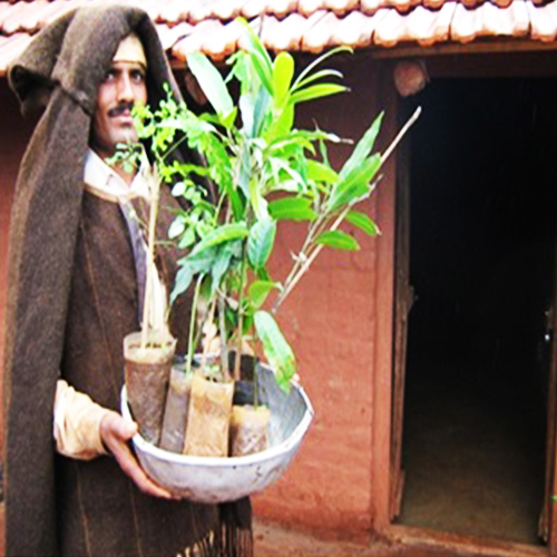 Sri Yashvant Ananda Patil